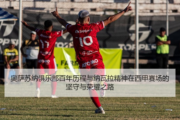 奥萨苏纳俱乐部百年历程与纳瓦拉精神在西甲赛场的坚守与荣耀之路