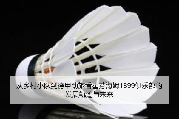 从乡村小队到德甲劲旅看霍芬海姆1899俱乐部的发展轨迹与未来