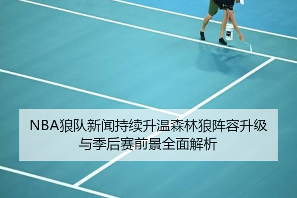 NBA狼队新闻持续升温森林狼阵容升级与季后赛前景全面解析