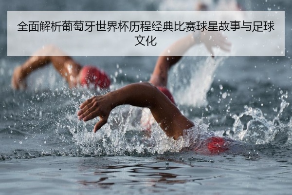 全面解析葡萄牙世界杯历程经典比赛球星故事与足球文化
